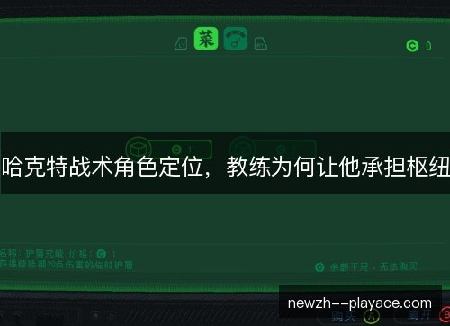 哈克特战术角色定位，教练为何让他承担枢纽
